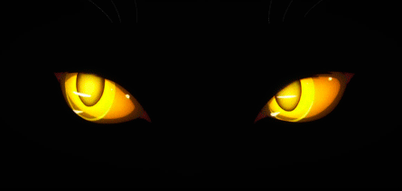 Loading...
